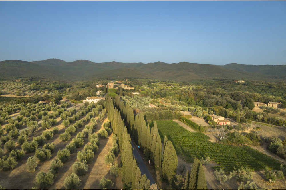 Bolgheri Villa