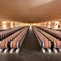 Cuvier de Mouton Rothschild an image of the barrel hall (credit photo Deepix)