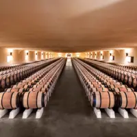 Cuvier de Mouton Rothschild an image of the barrel hall (credit photo Deepix)