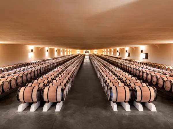 Cuvier de Mouton Rothschild an image of the barrel hall (credit photo Deepix)