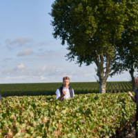 Equipe de Chateau Mouton Rothschild and image of men tasting grapes amongst the vineyards