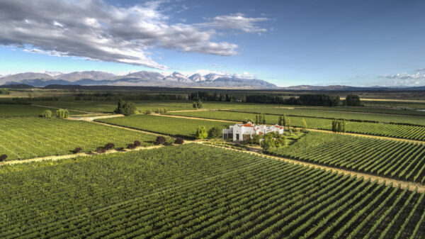 View of Finca Ambrosia Over the vineyards