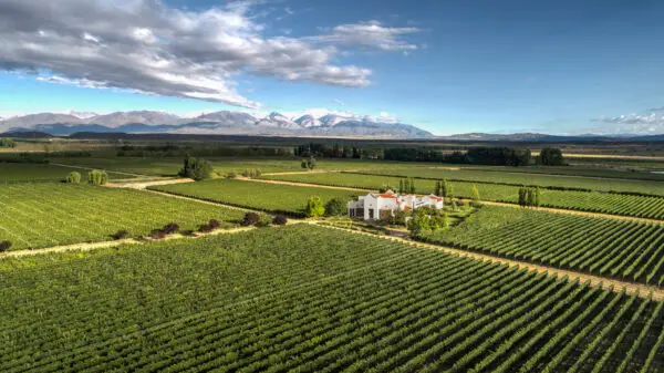 View of Finca Ambrosia Over the vineyards