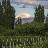 Finca Ambrosia Vineyards View of mountains