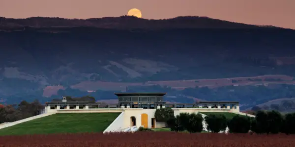 Opus One WInery Image in Setting Sun