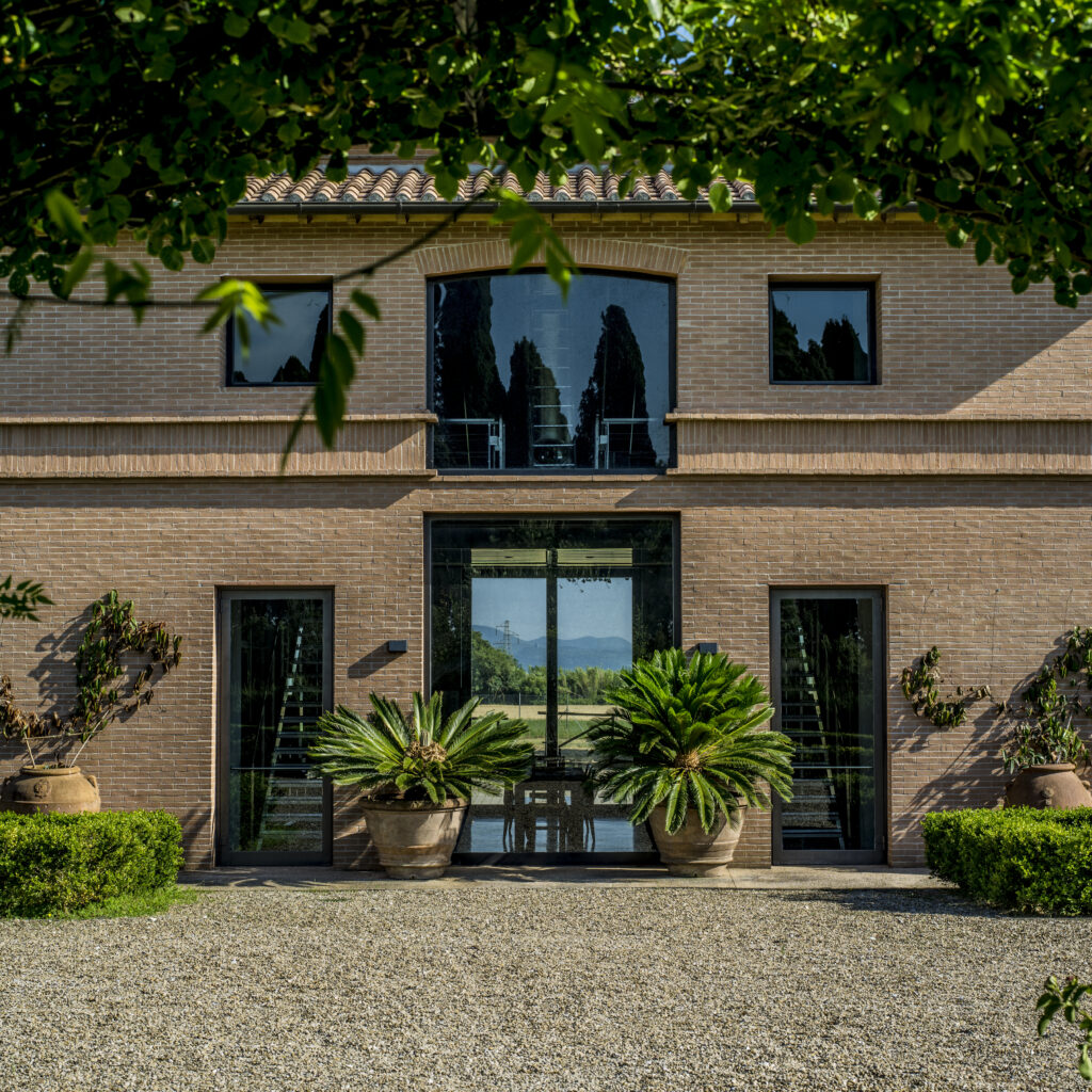 Sassicaia Cellar