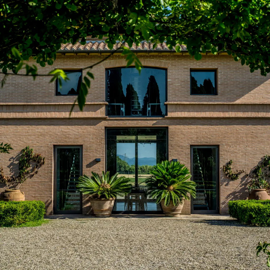 Sassicaia Cellar