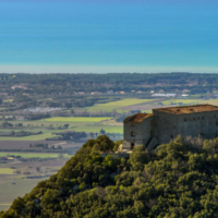 View of Tenuta San Guido