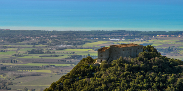 View of Tenuta San Guido