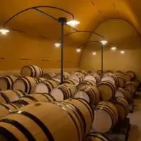 Domaine Leflaive Burgundy Barrique cellar