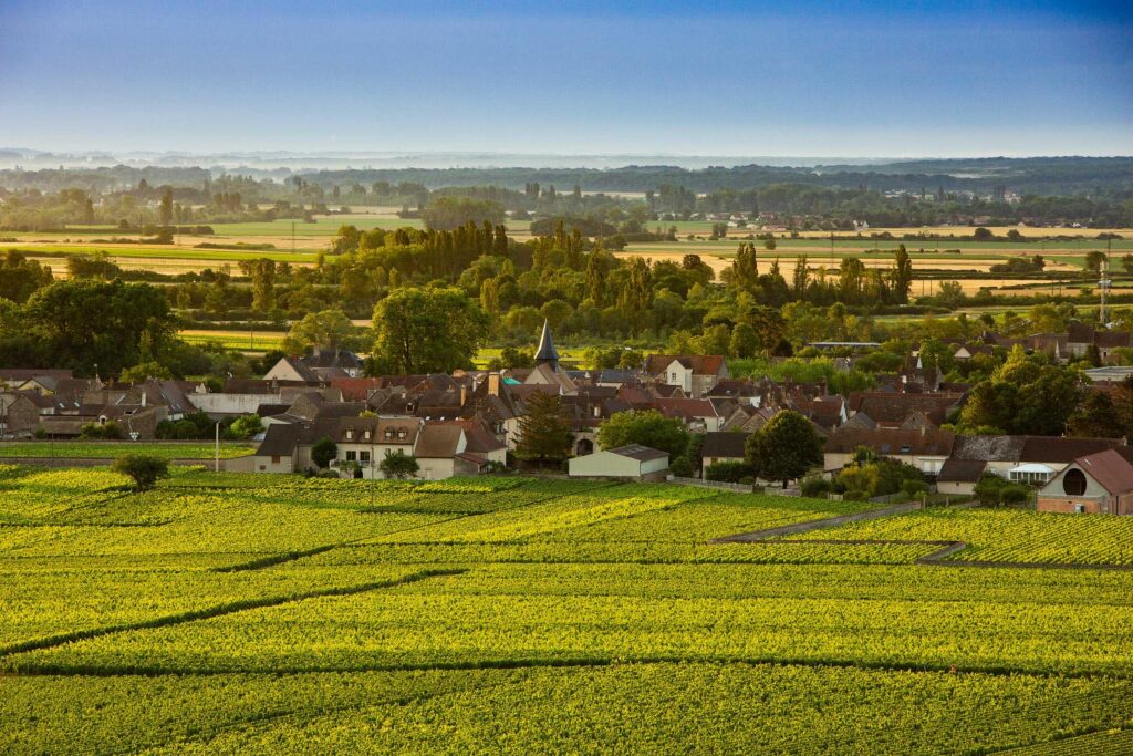 The nearby village of Puligny-Montrachet