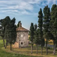 tenuta san guido guidalberto building image surrounded by cypress trees