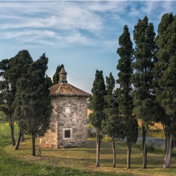 tenuta san guido guidalberto building image surrounded by cypress trees