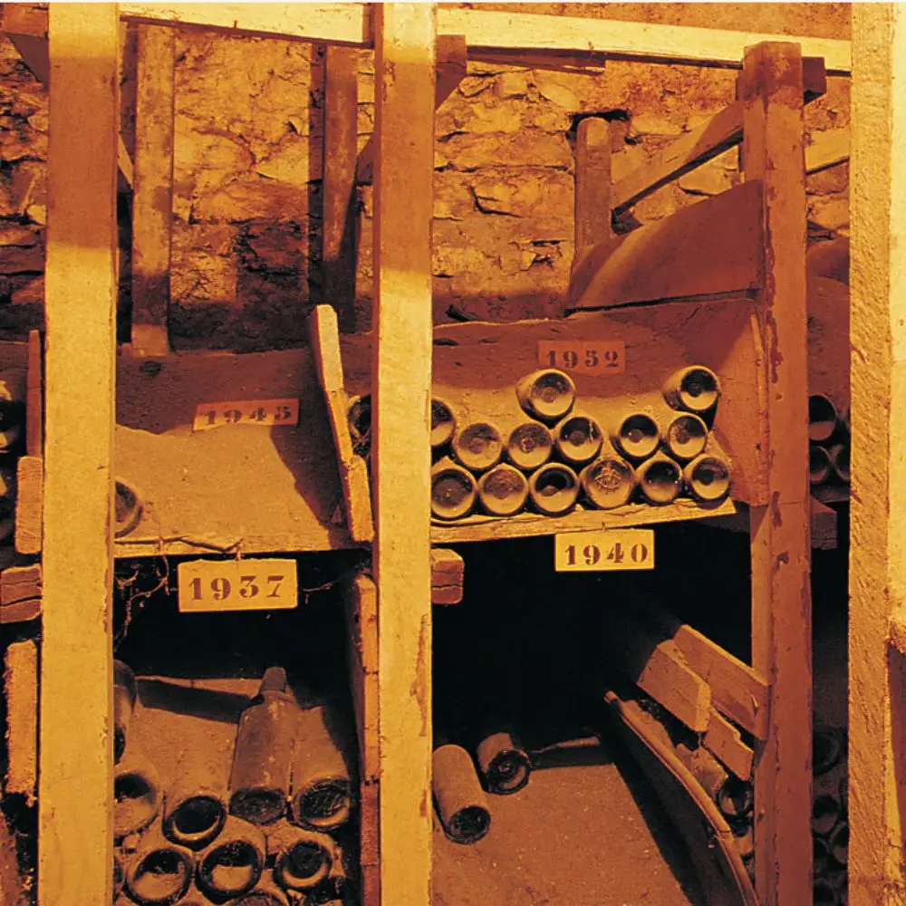 Cellars at Il Poggione