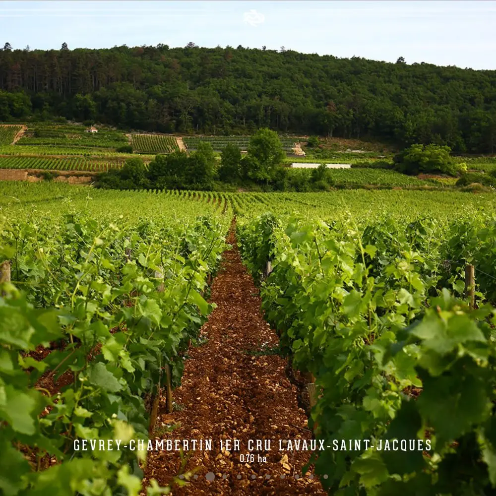 Gevrey Chambertin