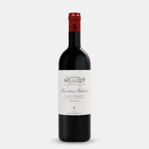 Tignanello Chianti Classico Riserva 2021 bottle shot