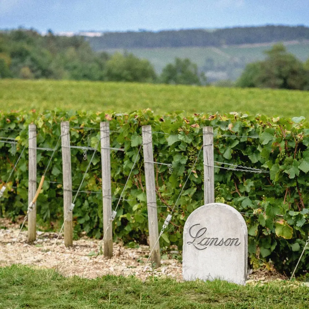 Clos Lanson Vineyards in Champagne