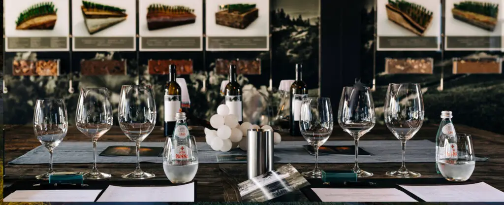 Tasting room table covered in glasses