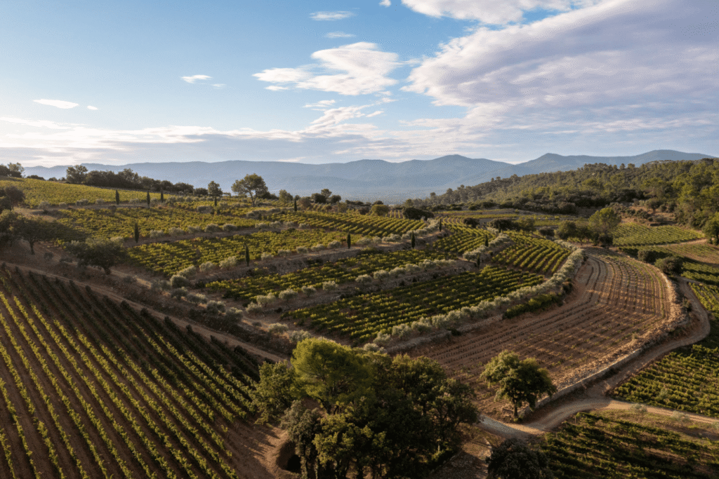 An Aerial image of vineyards in Provence